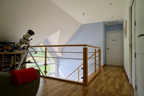 photo no. 7
