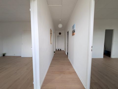 photo no. 3