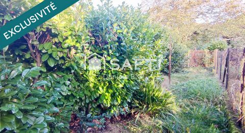photo no. 14