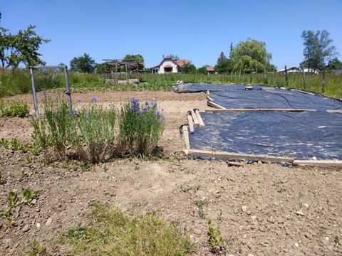 photo no. 14