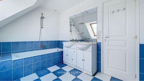 photo no. 11