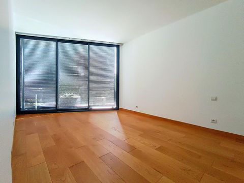 photo no. 10
