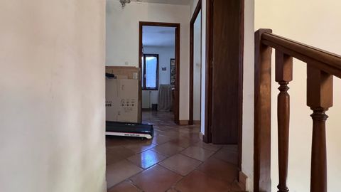photo no. 16