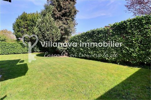 photo no. 10