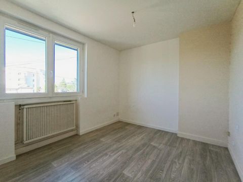 photo no. 6