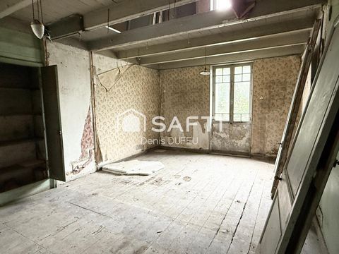 photo no. 11