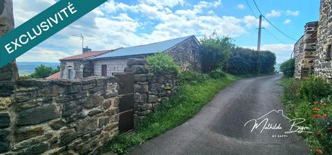 photo no. 15