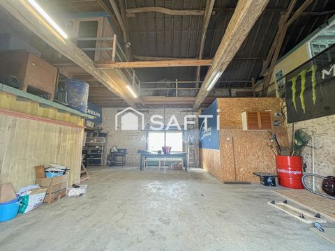 photo no. 10