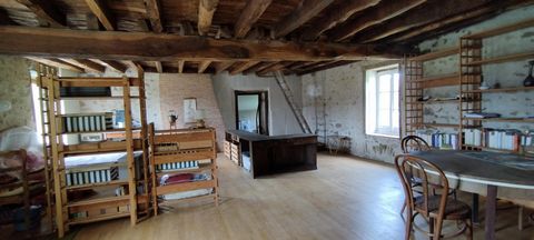 photo no. 10