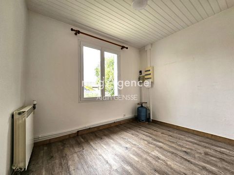 photo no. 11
