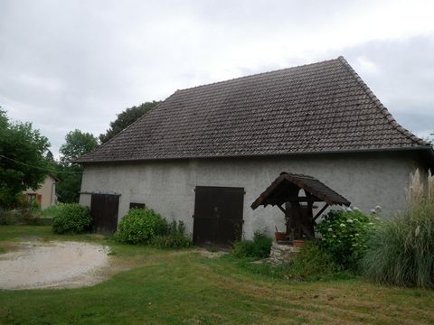 photo no. 12