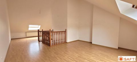 photo no. 15