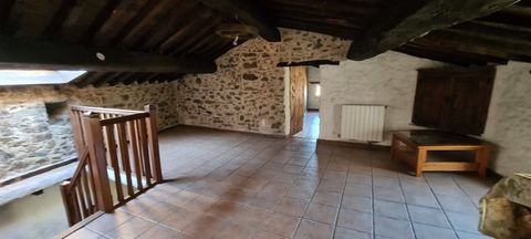 photo no. 13