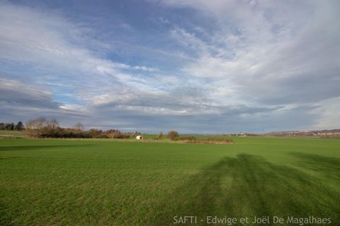 photo no. 3