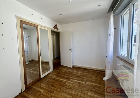 photo no. 12