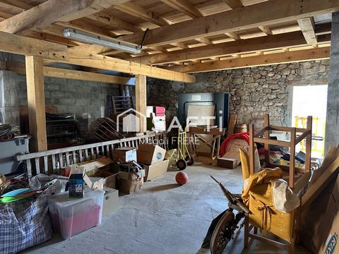photo no. 15