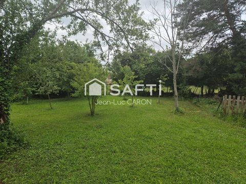 photo no. 13