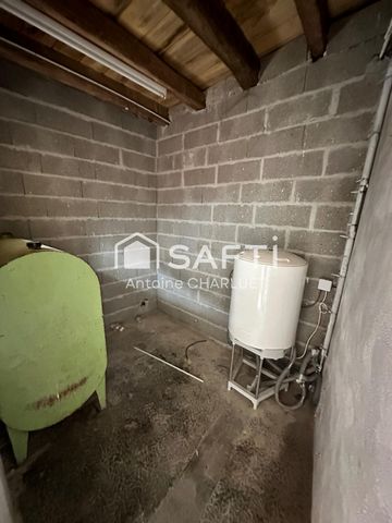 photo no. 12
