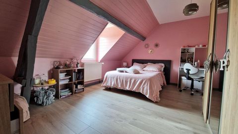 photo no. 12