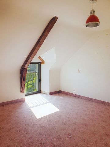 photo no. 9