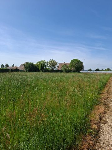 photo no. 1