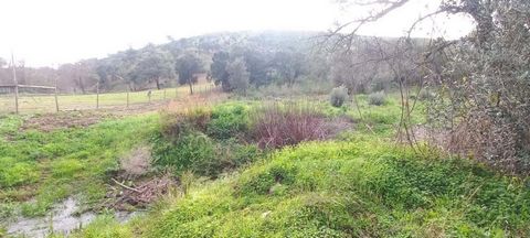 Descubra este encantador terreno rústico em Monchique, Faro, disponível por apenas 36.000. Com uma localização privilegiada, este espaço oferece vistas deslumbrantes para as montanhas e o rio, rodeado por uma vegetação exuberante, incluindo arbustos ...