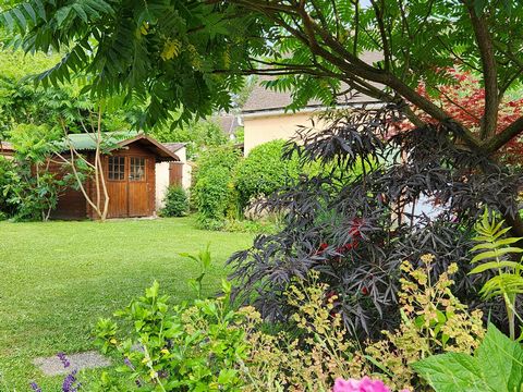 photo no. 10