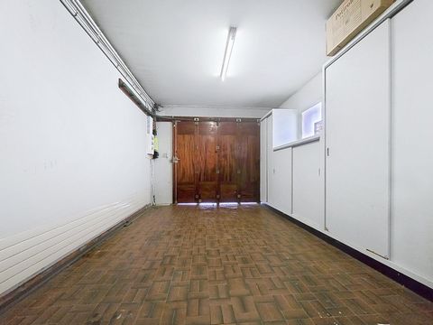 photo no. 12