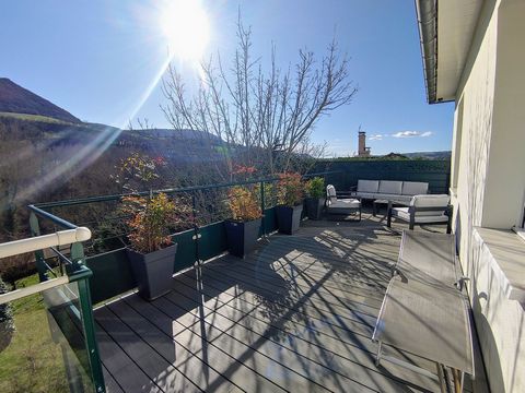 Belle maison - Grand jardin - MILLAU.