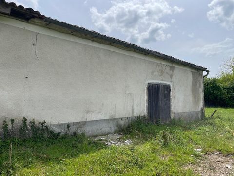 photo no. 14