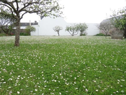 photo no. 2