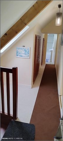 photo no. 12