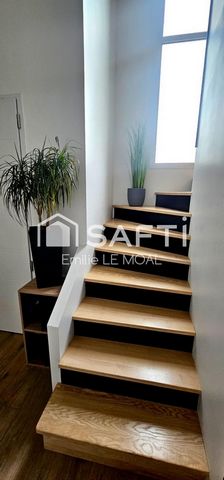 photo no. 7