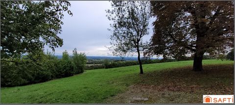 photo no. 4