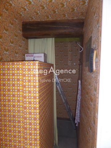 photo no. 3