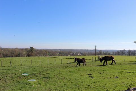 photo no. 14