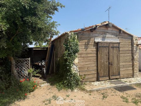 photo no. 14