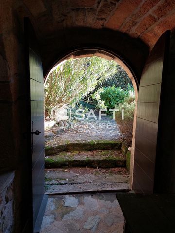 photo no. 4