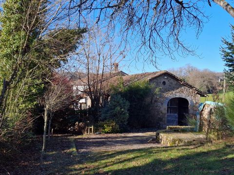 photo no. 7