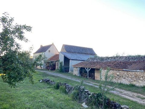 photo no. 1
