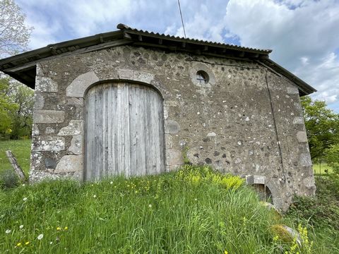 photo no. 3