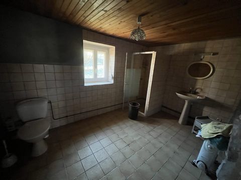 photo no. 12