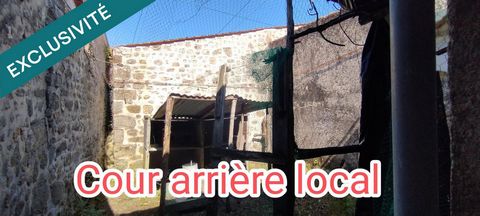 photo no. 13