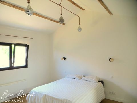 photo no. 2