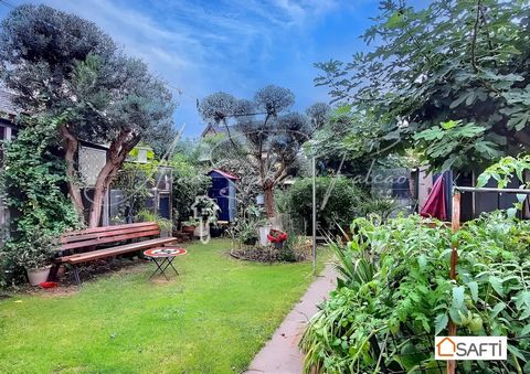 photo no. 10