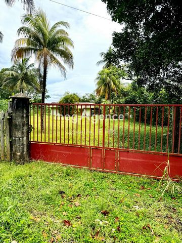 photo no. 2