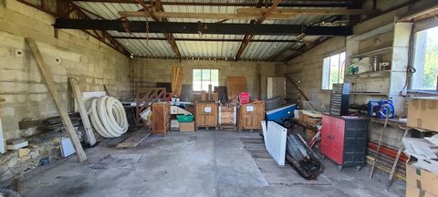 photo no. 11