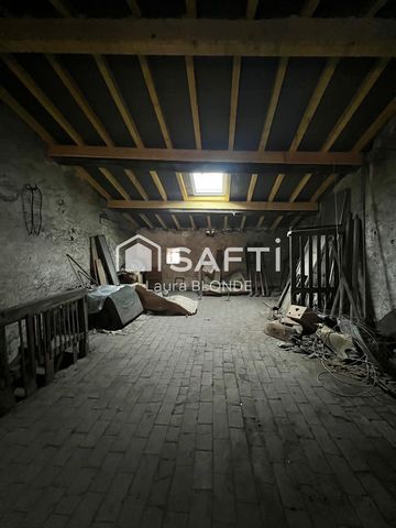 photo no. 13