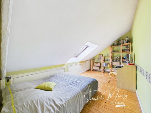 photo no. 6