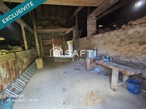 photo no. 12
